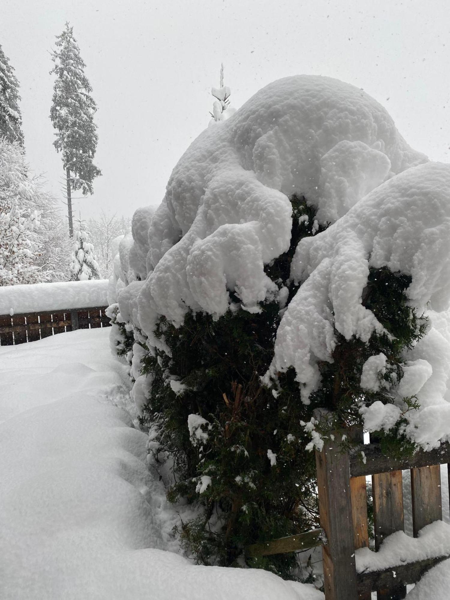 Haus Mayerbüchler Inzell Dış mekan fotoğraf