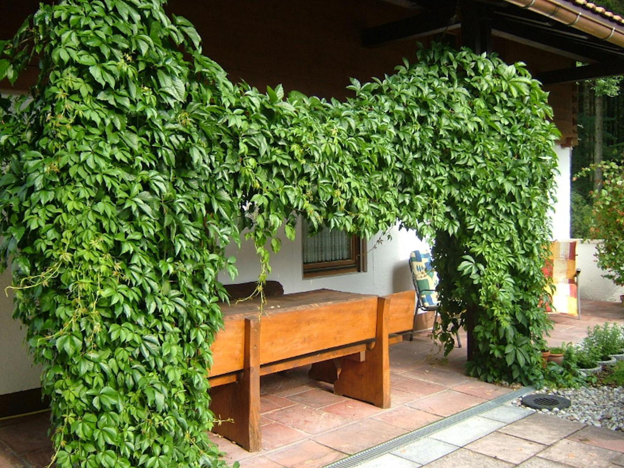 Haus Mayerbüchler Inzell Dış mekan fotoğraf